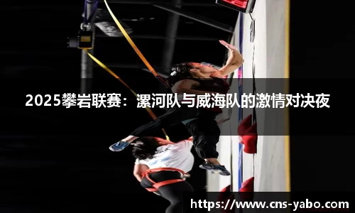 2025攀岩联赛：漯河队与威海队的激情对决夜